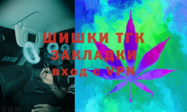 гидра Арсеньев