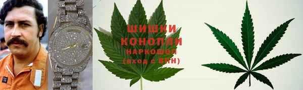jwh Алзамай