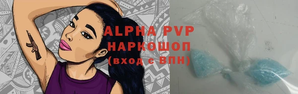 гашик Алексин