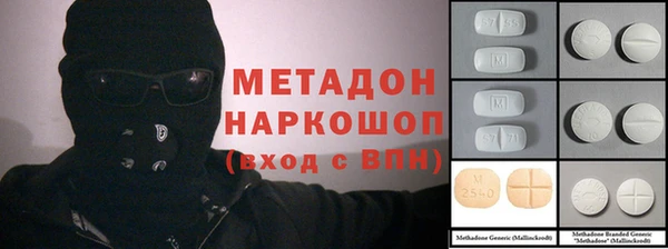 гашик Алексин