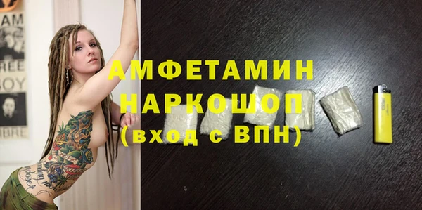 гашик Алексин