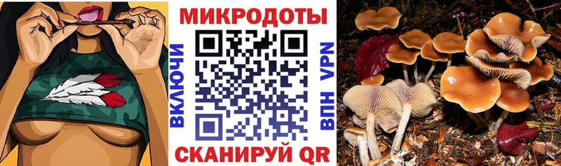 ссылка на мегу ТОР  Чистополь  Галлюциногенные грибы мухоморы 